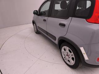 FIAT Panda usata 42