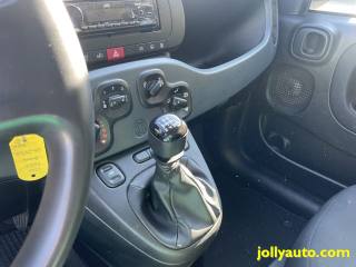 FIAT Panda usata 22