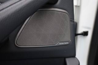 BMW 530 usata 124