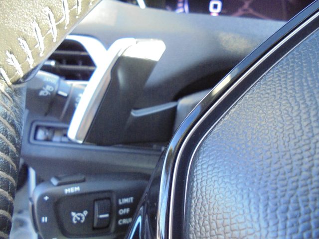 PEUGEOT 3008 usata 30