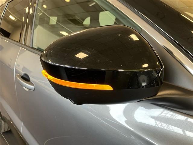 RENAULT Austral usata 24