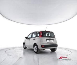 FIAT Panda usata 3