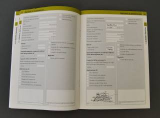 SMART ForTwo usata, con Immobilizzatore elettronico