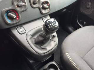 FIAT Panda usata 16