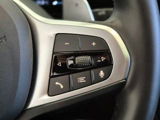 BMW 320 usata, con Leve al volante
