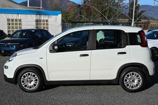 FIAT Panda usata, con Controllo trazione