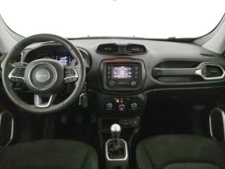 JEEP Renegade usata, con Boardcomputer