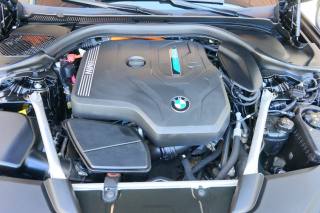 BMW 530 usata 29