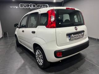 FIAT Panda usata, con Airbag laterali