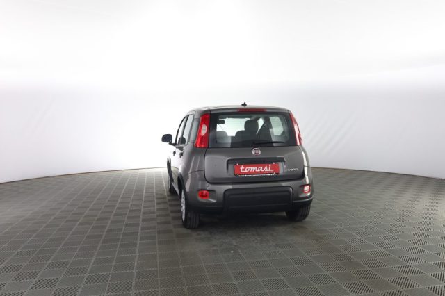 FIAT Panda usata 4