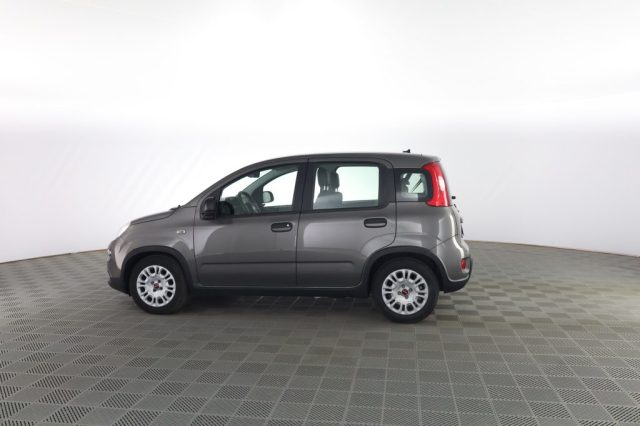 FIAT Panda usata 5
