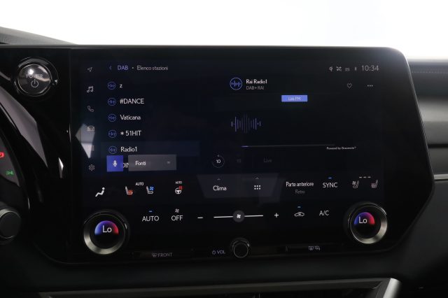 LEXUS RX 450h usata 10