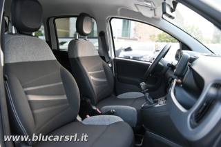 FIAT Panda usata 17