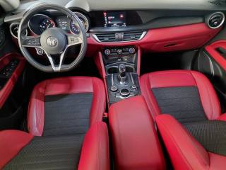 ALFA ROMEO Stelvio usata 62