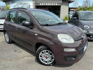 FIAT Panda usata, con Airbag Passeggero