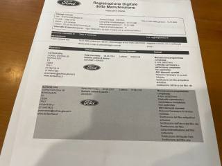 FORD Edge usata, con Frenata d