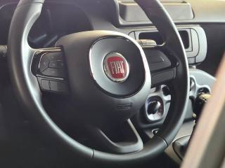FIAT Panda usata, con Controllo elettronico della corsia