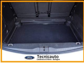 OPEL Meriva usata, con Bracciolo