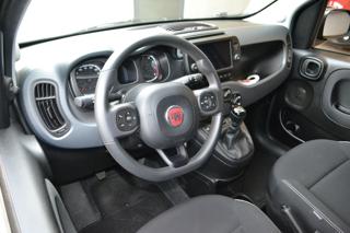 FIAT Panda Cross usata, con Climatizzatore