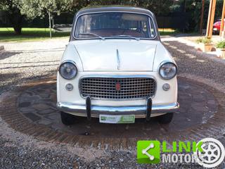 FIAT 1100 usata 1