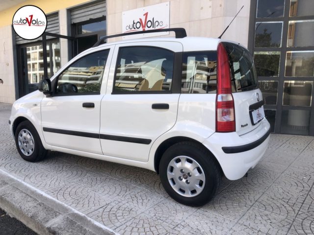 FIAT Panda usata 13