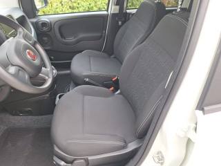 FIAT Panda usata, con Immobilizzatore elettronico