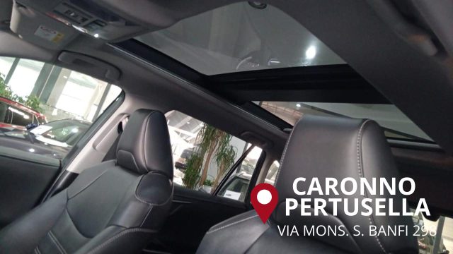 TOYOTA RAV 4 MY23 usata, con ESP