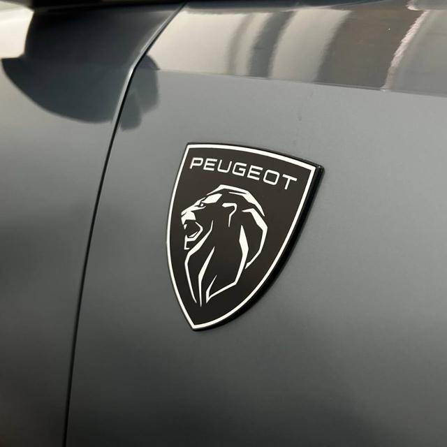 PEUGEOT 3008 usata, con Sensori di parcheggio posteriori