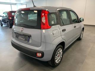 FIAT Panda usata, con Boardcomputer