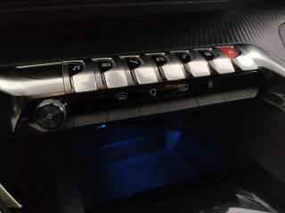 PEUGEOT 3008 usata, con Airbag testa