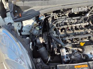 FIAT 500L usata 25