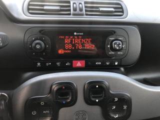 FIAT Panda usata, con Bluetooth