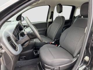 FIAT Panda usata 9