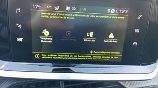 PEUGEOT 2008 usata, con Airbag testa