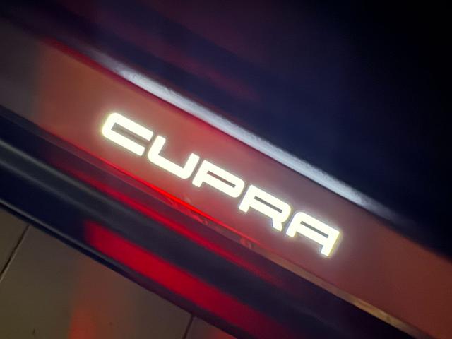 CUPRA Formentor usata, con Sensore di pioggia