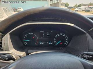 FORD Transit usata 12