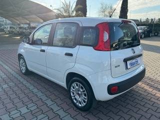 FIAT New Panda usata, con Boardcomputer