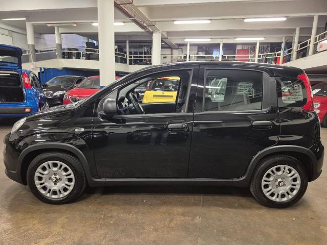 FIAT Panda usata, con Alzacristalli elettrici