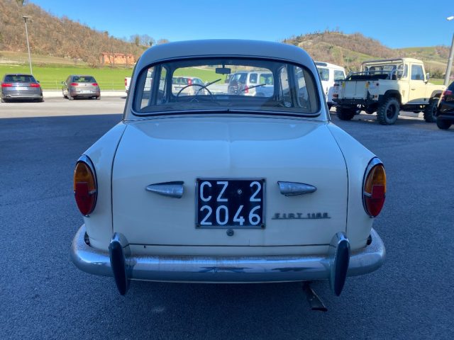 FIAT 1100 usata 5
