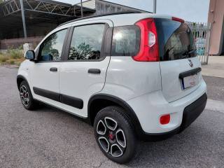 FIAT Panda usata, con Airbag Passeggero