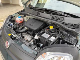 FIAT Panda Cross usata, con Isofix