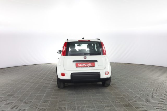 FIAT Panda usata 4