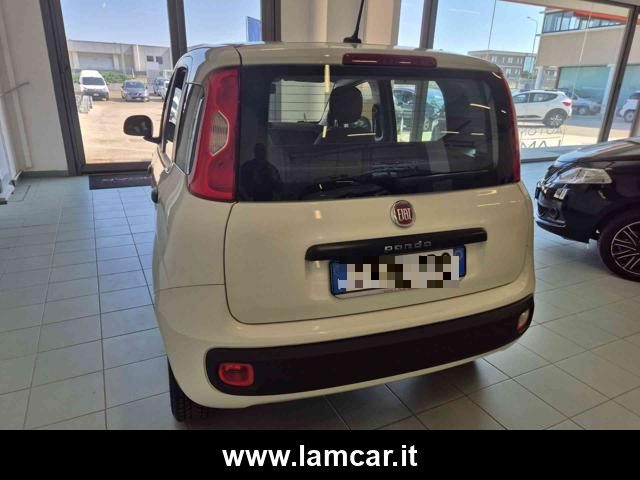 FIAT Panda usata, con Climatizzatore