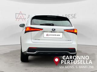 LEXUS NX 300 usata, con Alzacristalli elettrici