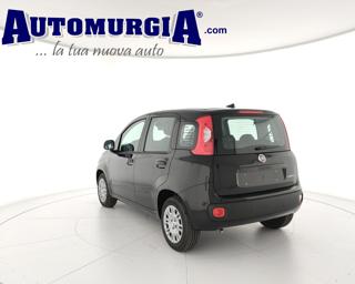 FIAT Panda usata, con Airbag laterali