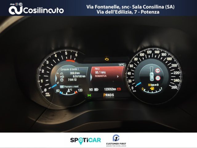 FORD Edge usata, con Fendinebbia