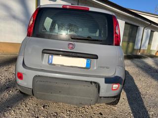 FIAT New Panda usata, con Alzacristalli elettrici