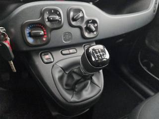 FIAT Panda usata 15