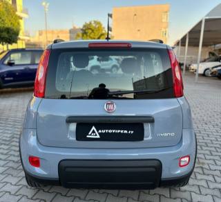 FIAT Panda usata, con Antifurto