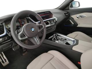 BMW Z4 usata, con Fendinebbia